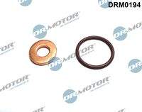 Dr.Motor Automotive DRM0194 Dichtungssatz, Einspritzdüse