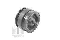 TEDGUM 00221175 Lagerung, Motor