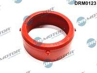 Dr.Motor Automotive DRM0123 Dichtung, Lader