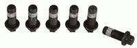 SACHS 1874000067 Schraubensatz, Schwungrad
