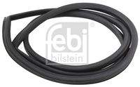 FEBI BILSTEIN 08886 Dichtung, Frontscheibe