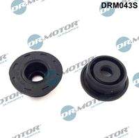 Dr.Motor Automotive DRM043S Dichtungssatz, Zylinderkopfhaube