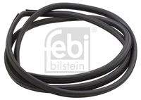 FEBI BILSTEIN 02752 Dichtung, Frontscheibe