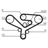 CONTINENTAL CTAM CT1135 Zahnriemen