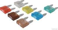 HERTH+BUSS ELPARTS 50296577066 Sicherungssatz