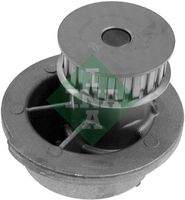 Schaeffler INA 538031310 Wasserpumpe, Motorkühlung