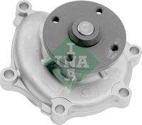 Schaeffler INA 538069310 Wasserpumpe, Motorkühlung