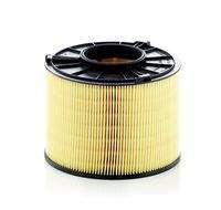 MANN-FILTER C17012/1 Luftfilter