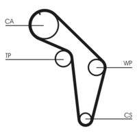 CONTINENTAL CTAM CT926 Zahnriemen