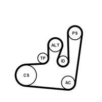 CONTINENTAL CTAM 6PK1145K1 Keilrippenriemensatz