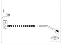 CORTECO 19032884 Bremsschlauch