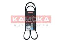 KAMOKA 7015046 Keilrippenriemen