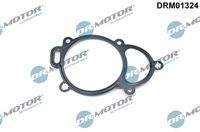 Dr.Motor Automotive DRM01324 Dichtung, Nockenwellenverstellung