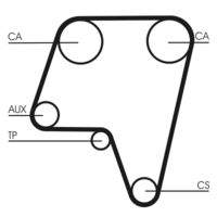 CONTINENTAL CTAM CT819 Zahnriemen