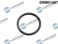 Dr.Motor Automotive DRM01467 Dichtring, Kühlmittelschlauch