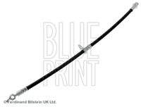 BLUE PRINT ADT353331C Bremsschlauch