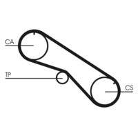 CONTINENTAL CTAM CT818 Zahnriemen