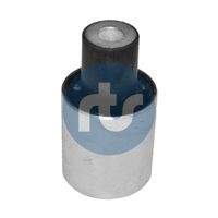RTS 01700702 Lagerung, Lenker