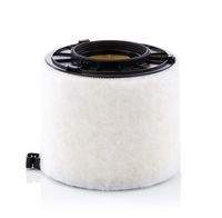 MANN-FILTER C17010 Luftfilter