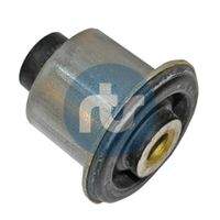 RTS 01700118 Lagerung, Lenker
