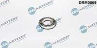 Dr.Motor Automotive DRM0569 Wärmeschutzscheibe, Einspritzanlage