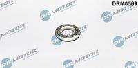 Dr.Motor Automotive DRM0569 Dichtring, Einspritzventil