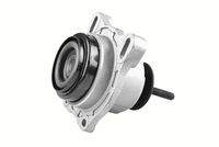 TEDGUM TED44719 Lagerung, Motor