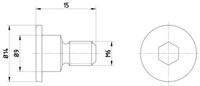 MINTEX TPM0001 Schraube, Bremsscheibe