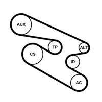 CONTINENTAL CTAM 7PK1104K1 Keilrippenriemensatz