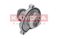 KAMOKA T0252 Wasserpumpe, Motorkühlung
