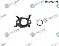 Dr.Motor Automotive DRM02257S Dichtungssatz, AGR-System