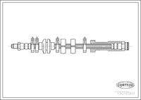 CORTECO 19018560 Bremsschlauch