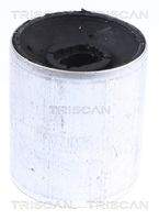 TRISCAN 8500118008 Lagerung, Lenker