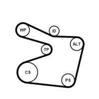 CONTINENTAL CTAM 6PK1555K1 Keilrippenriemensatz