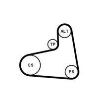 CONTINENTAL CTAM 6PK906K1 Keilrippenriemensatz