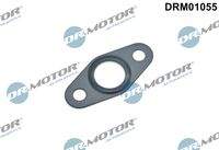 Dr.Motor Automotive DRM01055 Dichtung, Ölauslass (Lader)