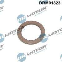 Dr.Motor Automotive DRM01823 Wellendichtring, Kurbelwelle