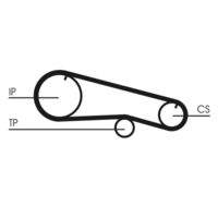 CONTINENTAL CTAM CT668 Zahnriemen