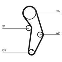 CONTINENTAL CTAM CT821 Zahnriemen