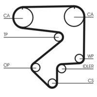 CONTINENTAL CTAM CT783 Zahnriemen