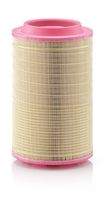 MANN-FILTER C25860/5 Luftfilter