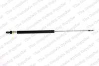 KILEN 365000 Gasfeder, Motorhaube