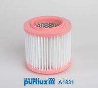 PURFLUX A1831 Luftfilter