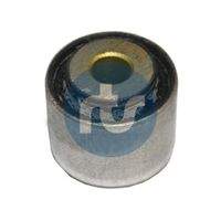 RTS 01700274 Lagerung, Lenker