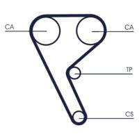 CONTINENTAL CTAM CT1157 Zahnriemen