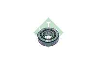 Schaeffler INA 712151110 Lager, Differential
