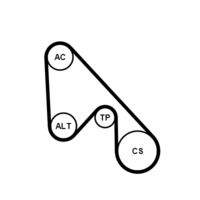 CONTINENTAL CTAM 5PK1145K1 Keilrippenriemensatz