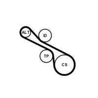 CONTINENTAL CTAM 6PK1230K1 Keilrippenriemensatz