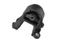 TEDGUM TED98330 Lagerung, Differential