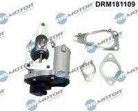 Dr.Motor Automotive DRM181109 AGR-Ventil